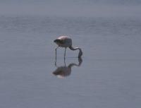 228_Salar de Atacama